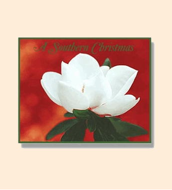 "A Southern Christmas" notecards, CNC #1; photo: Linda Saxon Nixon